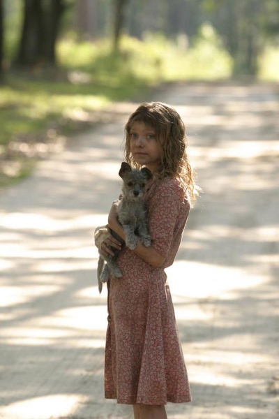 猎犬剧照的剧照