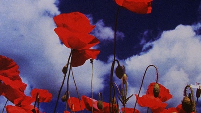 废土一号：炽热的，翠绿的剧照的剧照