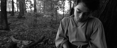 少年林肯剧照的剧照