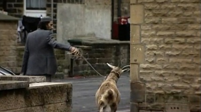 优思明剧照的剧照