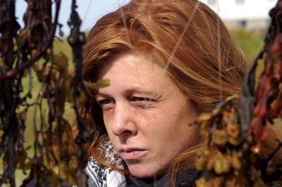 白夜婚礼剧照的剧照