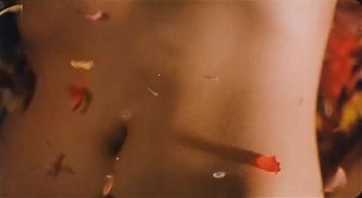 群莺乱舞剧照的剧照