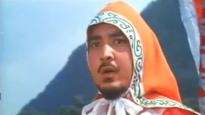 铁公鸡剧照的剧照