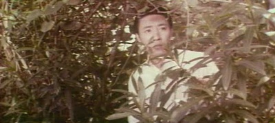 几度夕阳红剧照的剧照