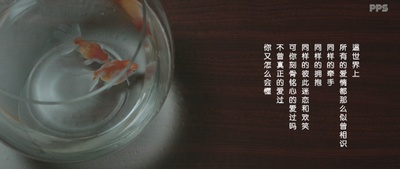 不爱不散剧照的剧照