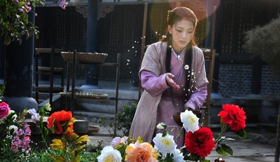 艾草仙姑剧照的剧照