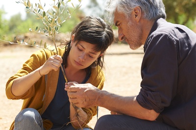 橄榄树剧照的剧照