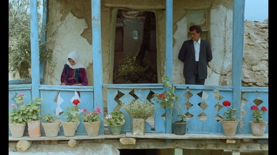 橄榄树下的情人剧照的剧照