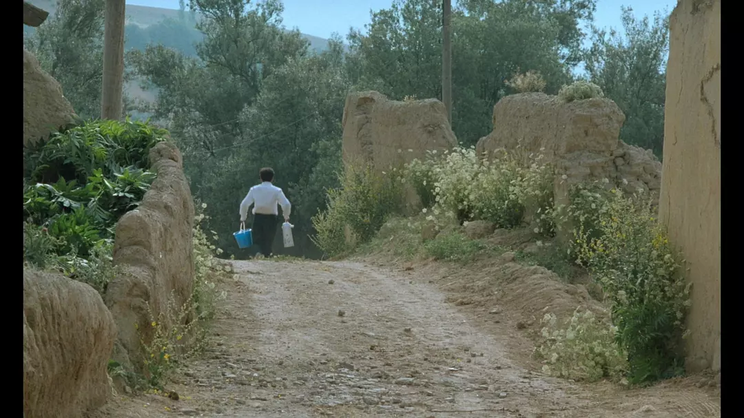 橄榄树下的情人剧照的剧照