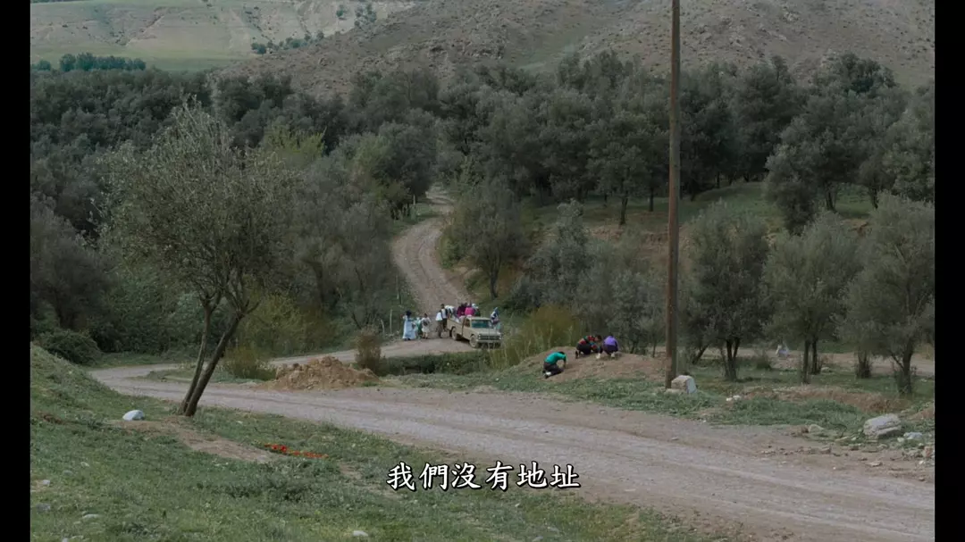 橄榄树下的情人剧照的剧照