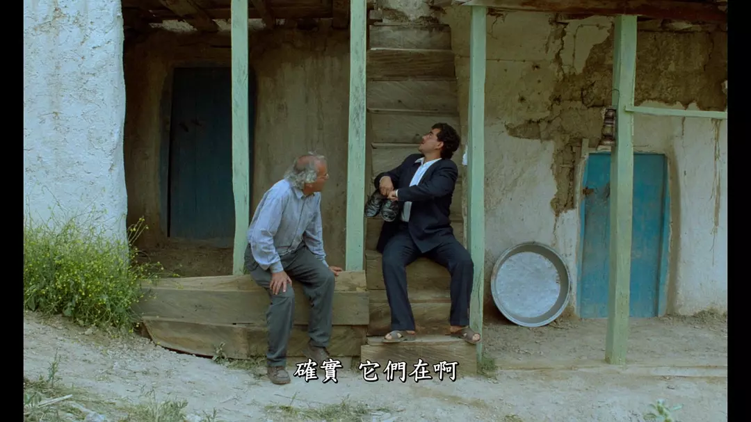 橄榄树下的情人剧照的剧照