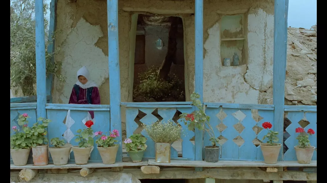 橄榄树下的情人剧照的剧照