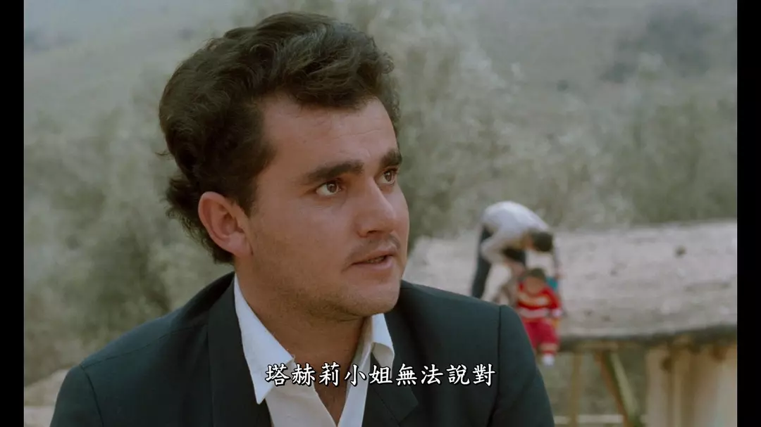 橄榄树下的情人剧照的剧照