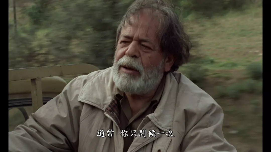 橄榄树下的情人剧照的剧照