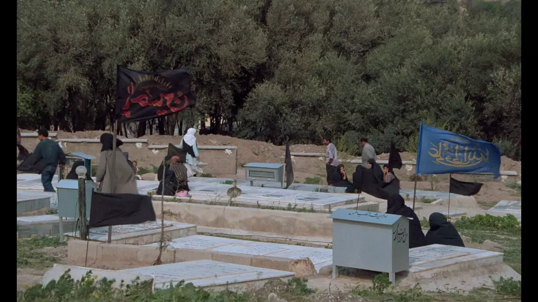 橄榄树下的情人剧照的剧照