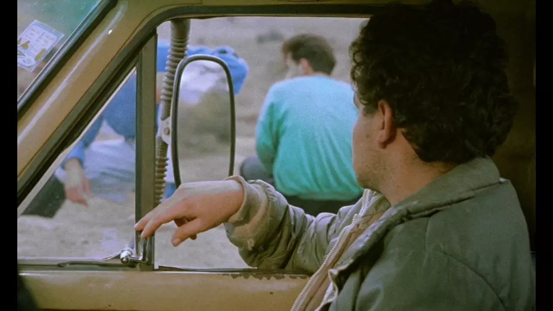 橄榄树下的情人剧照的剧照