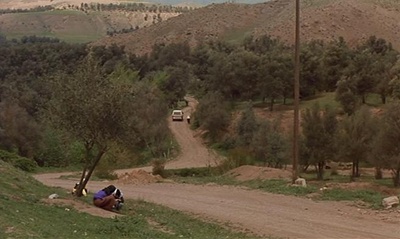 橄榄树下的情人剧照的剧照