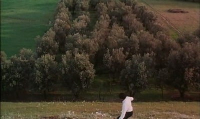 橄榄树下的情人剧照的剧照