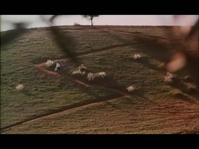 橄榄树下的情人剧照的剧照