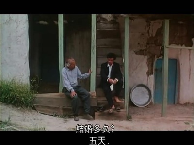 橄榄树下的情人剧照的剧照