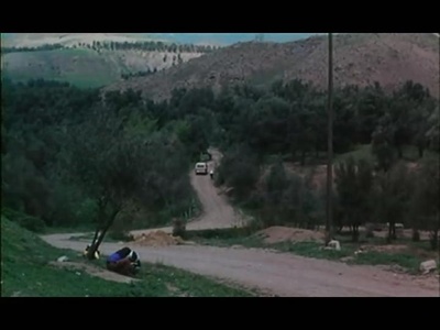 橄榄树下的情人剧照的剧照