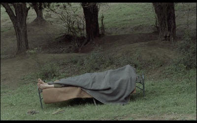 橄榄树下的情人剧照的剧照