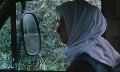 橄榄树下的情人剧照的剧照