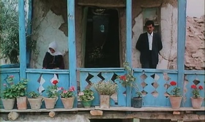 橄榄树下的情人剧照的剧照