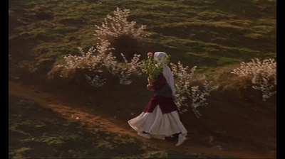 橄榄树下的情人剧照的剧照