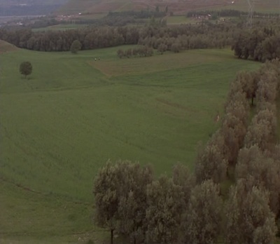 橄榄树下的情人剧照的剧照