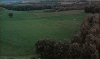 橄榄树下的情人剧照的剧照