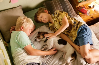 宾果男孩日记2剧照的剧照