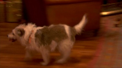 极品基老伴：2013圣诞特辑剧照的剧照