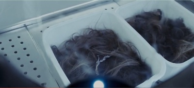 隔绝剧照的剧照