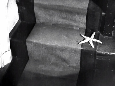 海星剧照的剧照