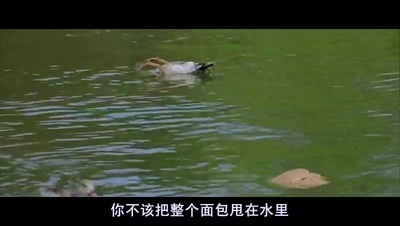 关于一个男孩剧照的剧照