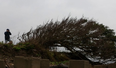 晚安，再见剧照的剧照