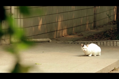 校园英雄剧照的剧照