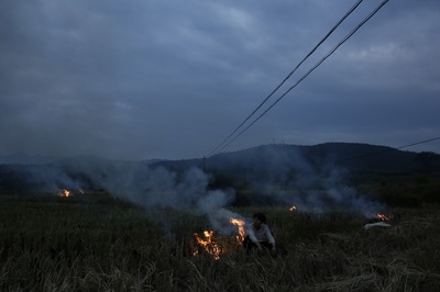 山野之歌剧照的剧照