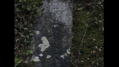 山野之歌剧照的剧照