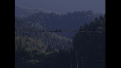 山野之歌剧照的剧照