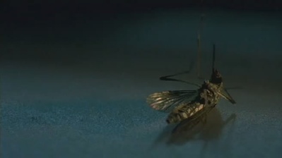 十分钟年华老去：大提琴篇剧照的剧照