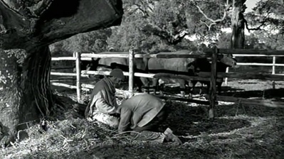 十分钟年华老去：大提琴篇剧照的剧照
