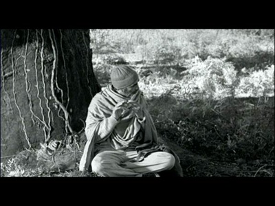 十分钟年华老去：大提琴篇剧照的剧照