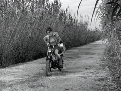 十分钟年华老去：大提琴篇剧照的剧照