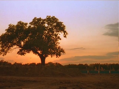 十分钟年华老去：小号篇剧照的剧照