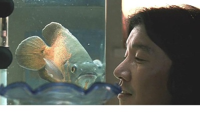 不眠之街 新宿鮫剧照的剧照