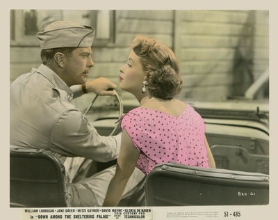 在棕榈树中寻求庇护剧照的剧照