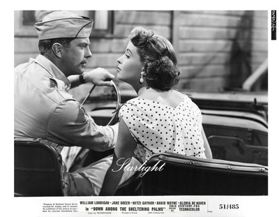 在棕榈树中寻求庇护剧照的剧照