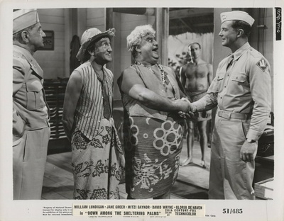 在棕榈树中寻求庇护剧照的剧照